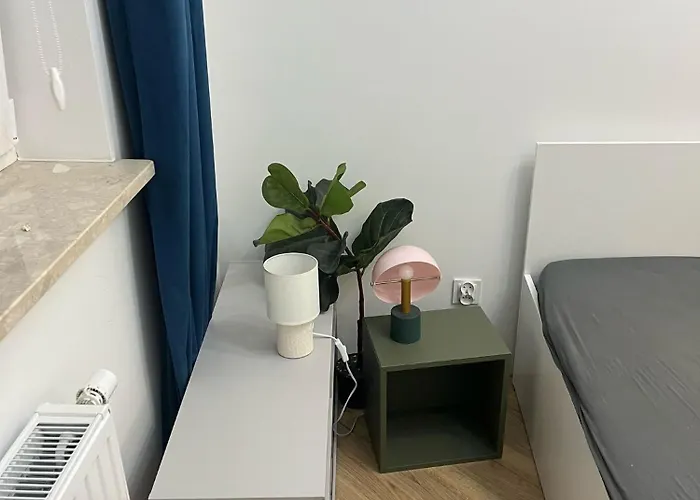 Sky Line Boarding 6 Persons 24 7 Check In *