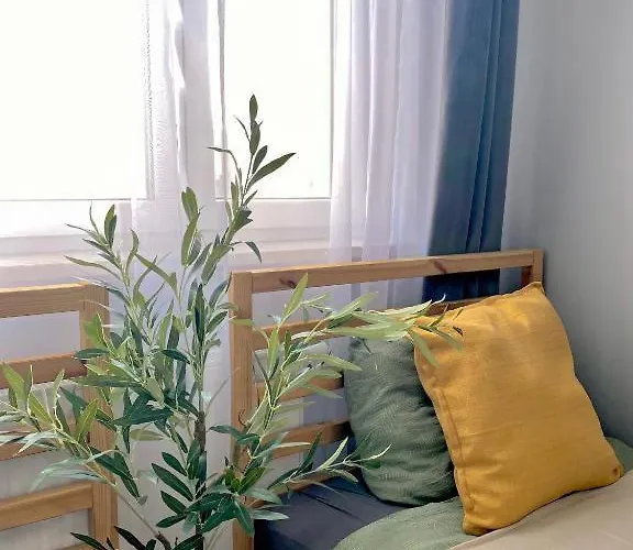 Sky Line Boarding 6 Persons 24 7 Check In *